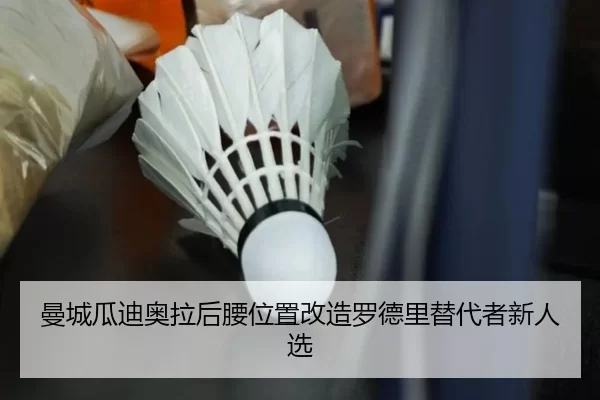 man-cheng-gua-di-ao-la-hou-yao-wei-zhi-gai-zao-luo-de-li-ti-dai-zhe-xin-ren-xuan-1-662.jpg