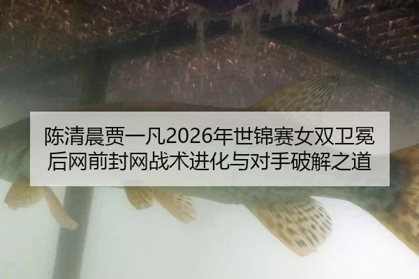 chen-qing-chen-jia-yi-fan-nian-shi-jin-sai-nv-shuang-wei-mian-hou-wang-qian-feng-wang-zhan-shu-jin-hua-yu-dui-shou-po-1-870.jpg